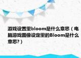 游戏设置里bloom是什么意思（电脑游戏图像设定里的Bloom是什么意思?）