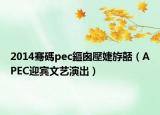2014骞碼pec鏂囪壓婕斿嚭（APEC迎宾文艺演出）
