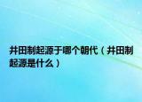 井田制起源于哪个朝代（井田制起源是什么）