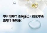 申诉向哪个法院提出（提起申诉去哪个法院提）