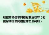 初犯帮助信息网络犯罪活动罪（初犯帮助信息网络犯罪怎么判刑）