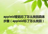 appleid密码忘了怎么找回具体步骤（appleid忘了怎么找回）