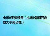 小米9手势设置（小米9如何开启放大手势功能）