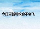 今日更新蚂蚁会不会飞
