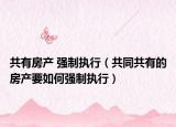 共有房产 强制执行（共同共有的房产要如何强制执行）