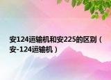 安124运输机和安225的区别（安-124运输机）