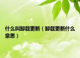 什么叫卸载更新（卸载更新什么意思）