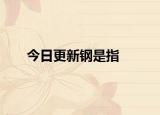 今日更新钢是指