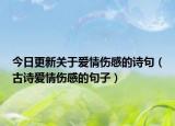 今日更新关于爱情伤感的诗句（古诗爱情伤感的句子）