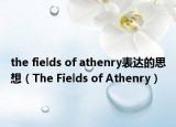 the fields of athenry表达的思想（The Fields of Athenry）