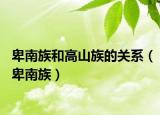 卑南族和高山族的关系（卑南族）