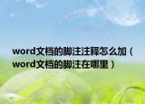 word文档的脚注注释怎么加（word文档的脚注在哪里）