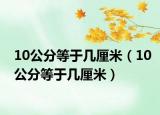 10公分等于几厘米（10公分等于几厘米）