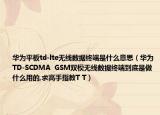 华为平板td-lte无线数据终端是什么意思（华为TD-SCDMA  GSM双模无线数据终端到底是做什么用的,求高手指教T T）