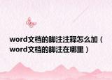word文档的脚注注释怎么加（word文档的脚注在哪里）