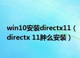 win10安装directx11（directx 11肿么安装）