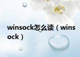 winsock怎么读（winsock）