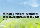 鱼腥藻属于什么生物（全面介绍鱼腥藻 对人类的好处和坏处 越全面越好）
