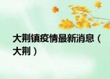 大荆镇疫情最新消息（大荆）