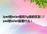 ipad的wlan版和5g版的区别（ipad的wlan版是什么）