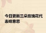 今日更新三朵玫瑰花代表啥意思