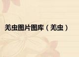 羌虫图片图库（羌虫）