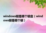 windows键是哪个键盘（windows键是哪个键）
