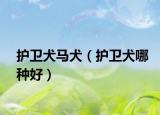 护卫犬马犬（护卫犬哪种好）