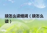 牍怎么读组词（牍怎么读）