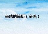 辛鸣的简历（辛鸣）