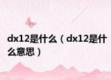 dx12是什么（dx12是什么意思）