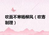 吹面不寒杨柳风（吹寄制理）