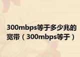 300mbps等于多少兆的宽带（300mbps等于）