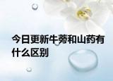 今日更新牛蒡和山药有什么区别
