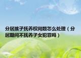 分居孩子抚养权问题怎么处理（分居期间不抚养子女犯罪吗）