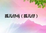 孤儿仔dj（孤儿仔）