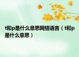 t和p是什么意思网络语言（t和p是什么意思）