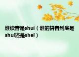 谁读音是shui（谁的拼音到底是shui还是shei）