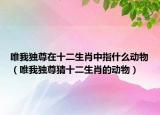 唯我独尊在十二生肖中指什么动物（唯我独尊猜十二生肖的动物）