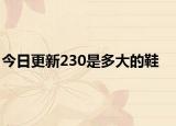 今日更新230是多大的鞋