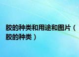胶的种类和用途和图片（胶的种类）