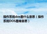 操作系统dos是什么意思（操作系统DOS是啥意思）