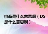 电商是什么意思啊（DS是什么意思啊）