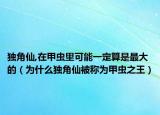 独角仙,在甲虫里可能一定算是最大的（为什么独角仙被称为甲虫之王）
