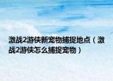 激战2游侠新宠物捕捉地点（激战2游侠怎么捕捉宠物）