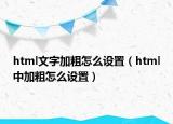html文字加粗怎么设置（html中加粗怎么设置）