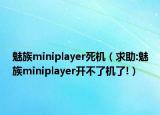 魅族miniplayer死机（求助:魅族miniplayer开不了机了!）
