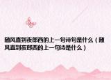 随风直到夜郎西的上一句诗句是什么（随风直到夜郎西的上一句诗是什么）