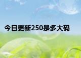 今日更新250是多大码