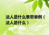 法人是什么意思举例（法人是什么）